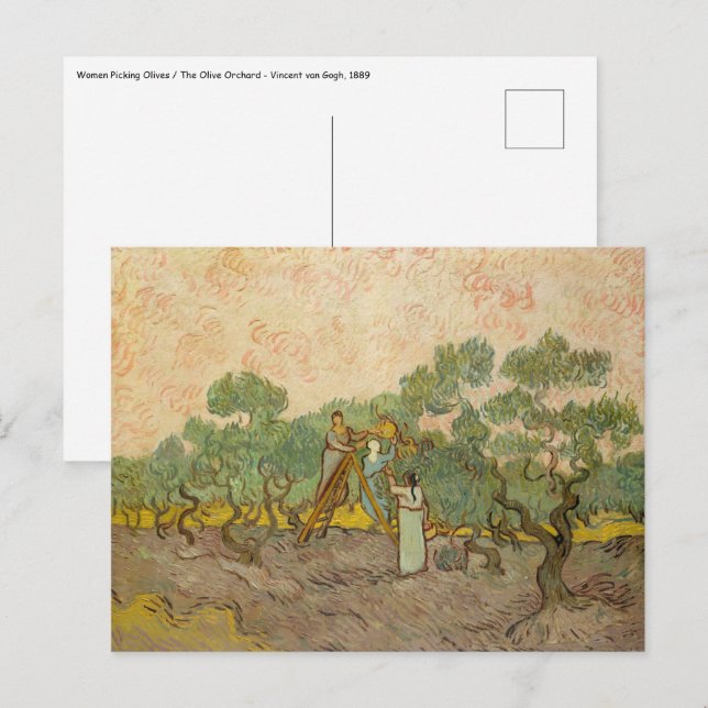 Vincent van Gogh - Frauen, die Oliven pflücken Postkarte (Vorne/Hinten)
