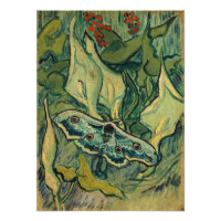 Vincent van Gogh - Giant Peacock Moth