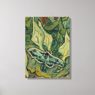 Vincent van Gogh - Giant Peacock Moth Leinwanddruck