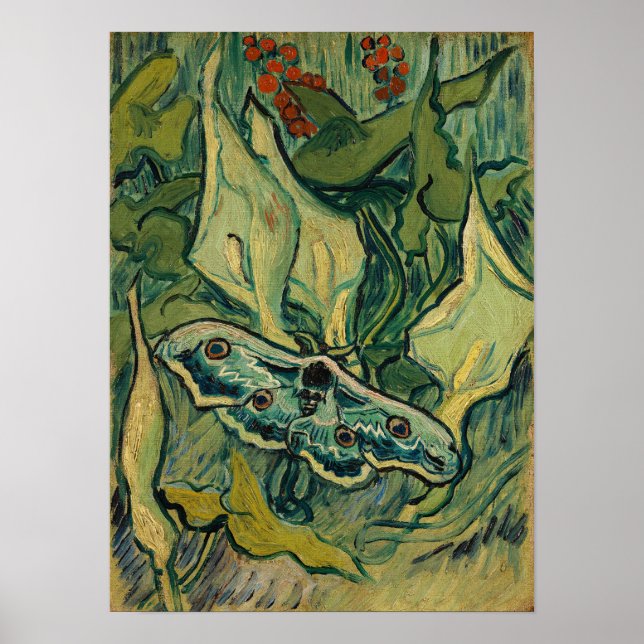 Vincent van Gogh - Giant Peacock Moth Poster (Vorne)