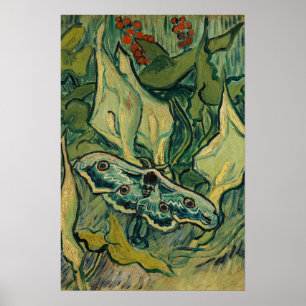 Vincent van Gogh - Giant Peacock Moth Poster