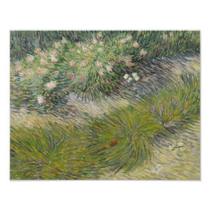 Vincent van Gogh - Gras und Schmetterlinge Fotodruck