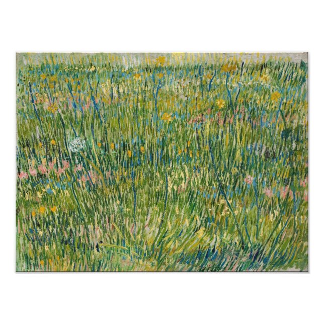 Vincent van Gogh - Grasfläche Fotodruck (Vorne)