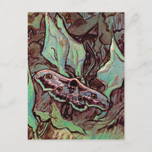 Vincent Van Gogh - Great Peacock Moth Fine Art Postkarte