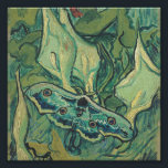 Vincent Van Gogh - Great Peacock Moth Fotodruck<br><div class="desc">Vincent Van Gogh - Great Peacock Moth</div>