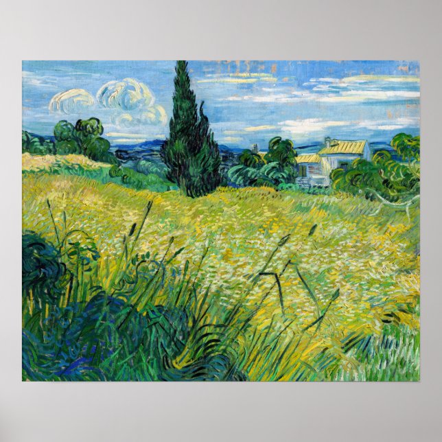 Vincent van Gogh - Grünes Weizenfeld mit Cypress Poster (Vorne)