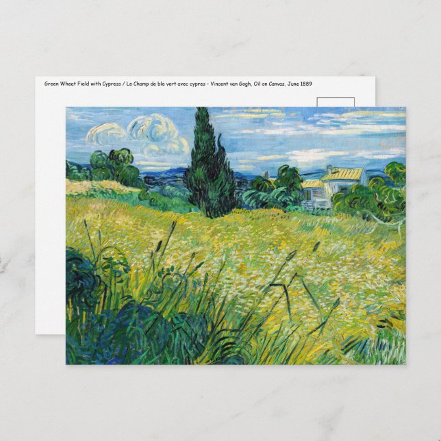 Vincent van Gogh - Grünes Weizenfeld mit Cypress Postkarte (Vorne/Hinten)