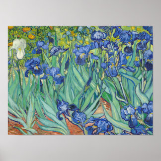 Vincent Van Gogh - Ire 1889 Poster