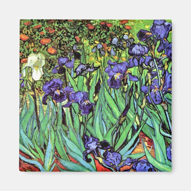 Vincent Van Gogh - Ire - Blume Lover Fine Art Magnet (Vorne)