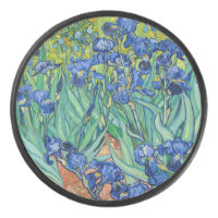 Vincent Van Gogh - Ire