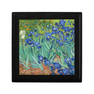 Vincent Van Gogh - Ire Erinnerungskiste