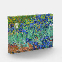 Vincent Van Gogh - Ire