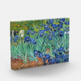 Vincent Van Gogh - Ire Fotoblock