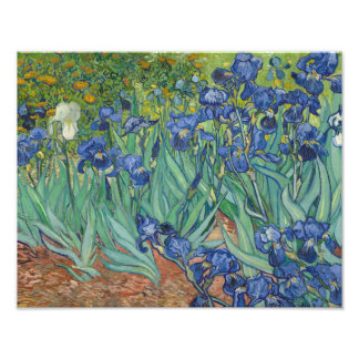 Vincent van Gogh - Ire Fotodruck