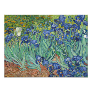 Vincent van Gogh - Ire Fotodruck
