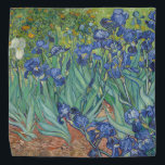 Vincent Van Gogh - Ire Halstuch<br><div class="desc">Vincent Van Gogh - Ire</div>