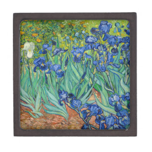 Vincent Van Gogh - Ire Kiste