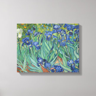 Vincent van Gogh - Ire Leinwanddruck