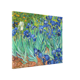 Vincent Van Gogh - Ire Leinwanddruck