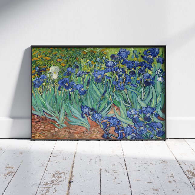Vincent Van Gogh, Ire, Les Iris Poster (Von Creator hochgeladen)