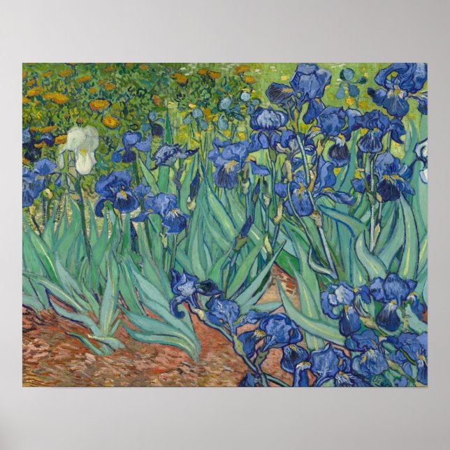 Vincent van Gogh - Ire Poster (Vorne)