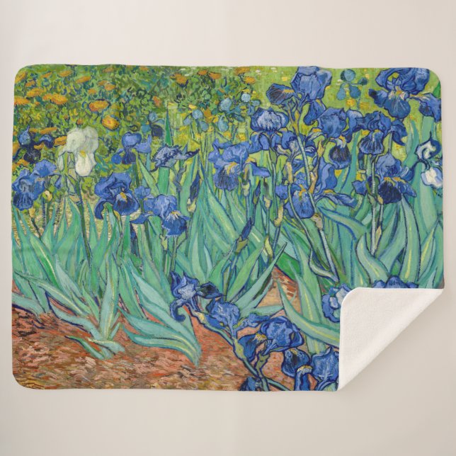 Vincent Van Gogh - Ire Sherpadecke (Vorderseite (Horizontal))