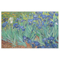Vincent Van Gogh - Ire
