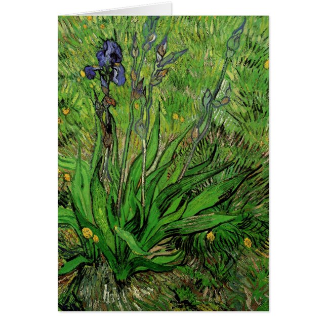 Vincent van Gogh - Iris (Vorne)