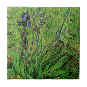 Vincent van Gogh - Iris Fliese