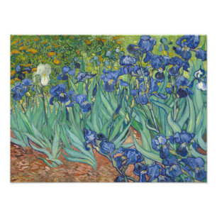 Vincent van Gogh - Iris Fotodruck