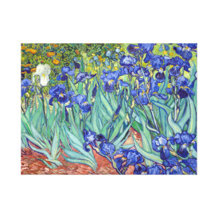 Vincent van Gogh-Iris Leinwanddruck