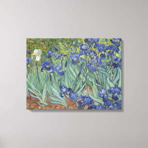 Vincent Van Gogh Irises Leinwanddruck
