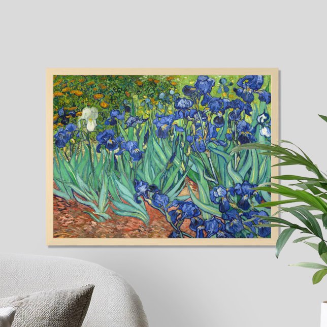 Vincent Van Gogh Irises Poster (Von Creator hochgeladen)