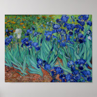 Vincent Van Gogh Irises Vibrant Blume Fine Art