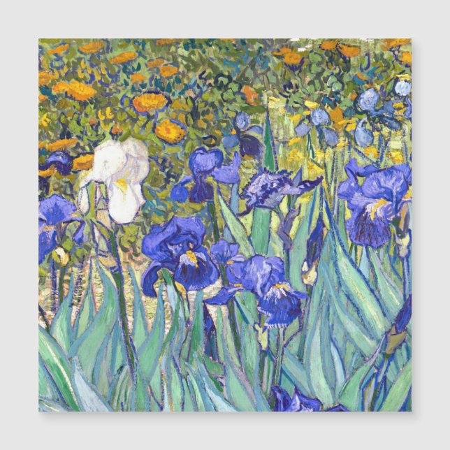 Vincent Van Gogh Irises Vintag Fine Art Magnetkarte (Vorderseite)