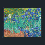 Vincent Van Gogh Irises Vintag Fine Art Postkarte<br><div class="desc">Vincent Van Gogh Irises Vintag Fine Art Postcard</div>