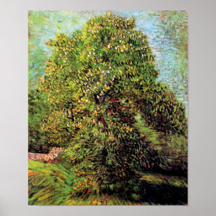 Vincent Van Gogh - Kastanienbaum in Blossom Poster