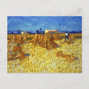 Vincent van Gogh Kornernte in der Provence Postkarte