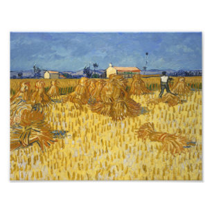 Vincent van Gogh - Maisernte in der Provence Fotodruck