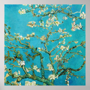 Vincent Van Gogh Malerei Mandelblüten Poster