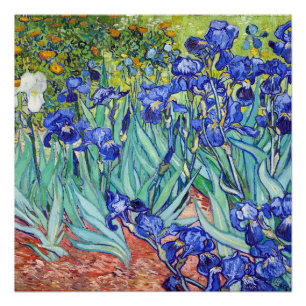 Vincent Van Gogh maltet Schwertlilien Poster