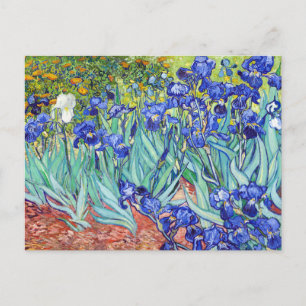 Vincent Van Gogh maltet Schwertlilien Postkarte