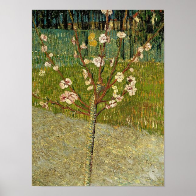 Vincent van Gogh - Mandelbaum in Blüte Poster (Vorne)