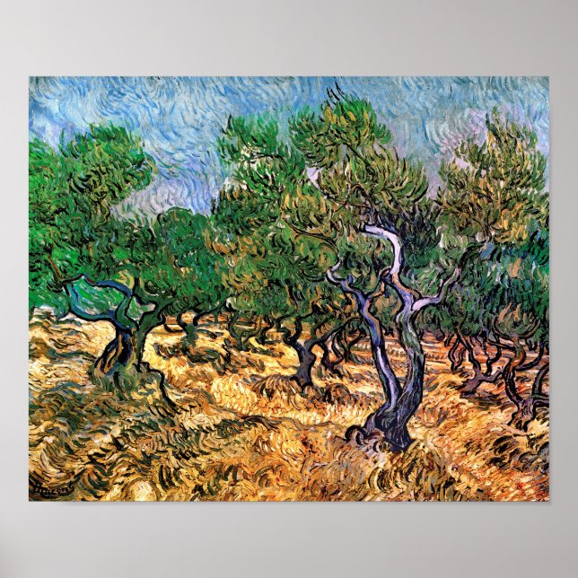 Vincent Van Gogh - Olive Grove Fine Art Poster (Vorne)