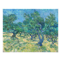 Vincent van Gogh - Olive Grove