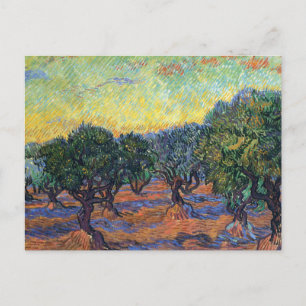Vincent Van Gogh Olive Grove Impressionismus Art Postkarte