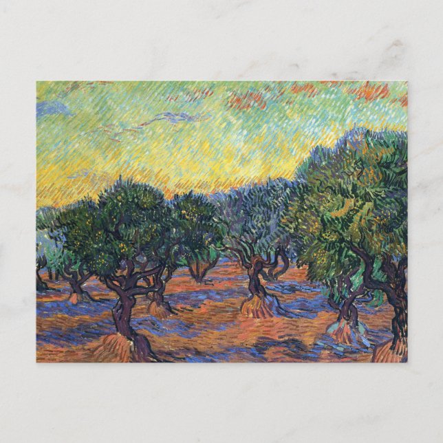 Vincent Van Gogh Olive Grove Impressionismus Art Postkarte (Vorderseite)