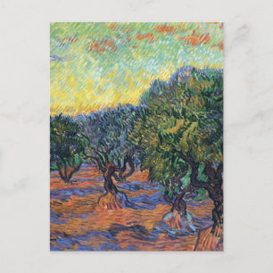 Vincent Van Gogh Olive Grove Impressionismus Art Postkarte