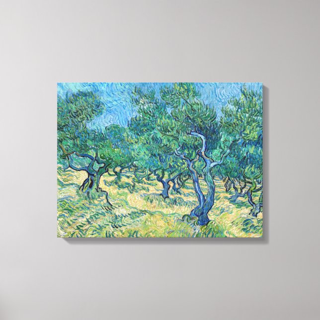Vincent van Gogh - Olive Grove Leinwanddruck (Vorderseite)