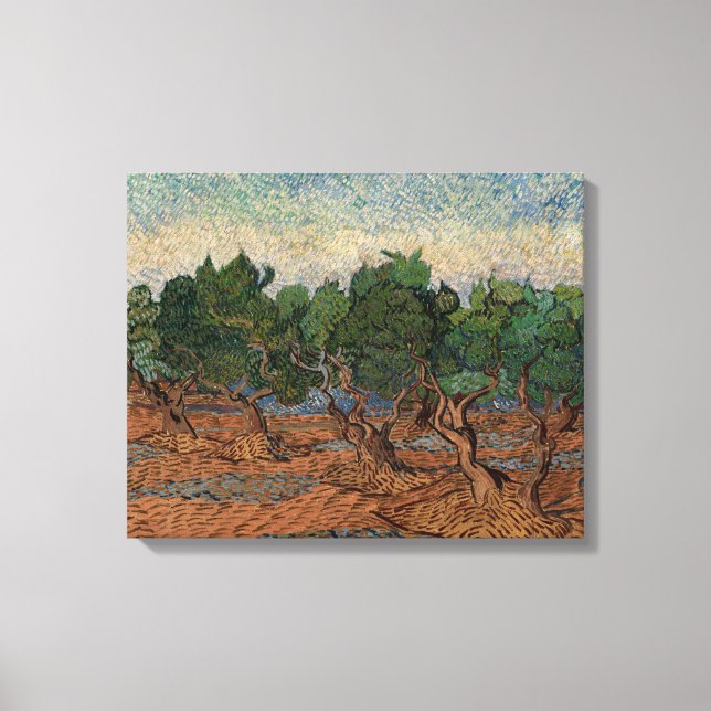 Vincent van Gogh - Olive Grove Leinwanddruck (Vorderseite)